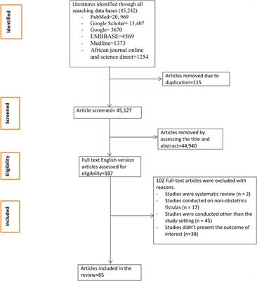 Successful surgical closure and continence rate of obstetric fistula in Africa: systematic review and meta-analysis